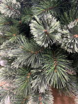 PRE-ORDER ONLY 2024: CHRISTMAS TREE PINE ALASKAN 240CM HIGH - FI9922GR-Two Turtle Doves Australia